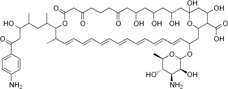 File:Candicidin.png