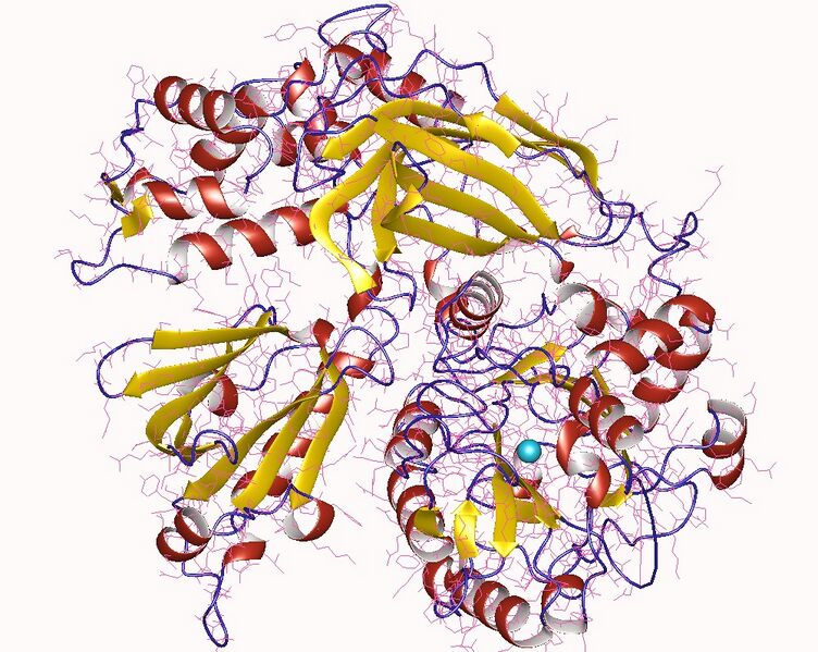 File:2zkm.jpg