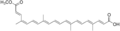 Thumbnail for version as of 02:51, 21 May 2026