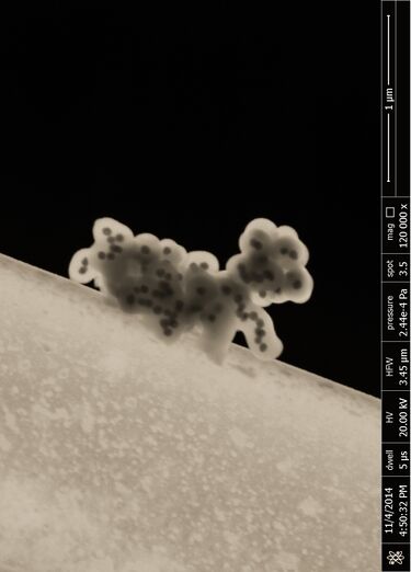 File:Walking on the moon.jpg
