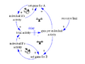 Thumbnail for version as of 22:33, 8 June 2026