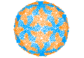 Thumbnail for version as of 22:25, 8 June 2026