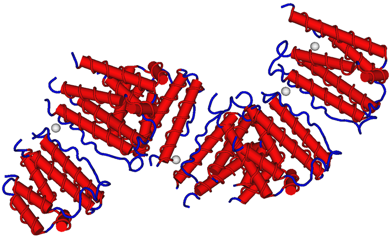 File:1RH2Recombinant Human Interferon-Alpha 2b.png