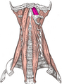 Thumbnail for version as of 13:40, 23 May 2026