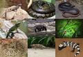 Thumbnail for version as of 22:34, 8 June 2026