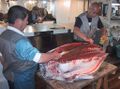 Fish processing