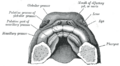 Thumbnail for version as of 17:28, 18 May 2026