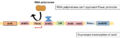 Thumbnail for version as of 03:33, 5 June 2026