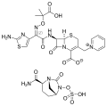 Thumbnail for version as of 02:09, 24 May 2026