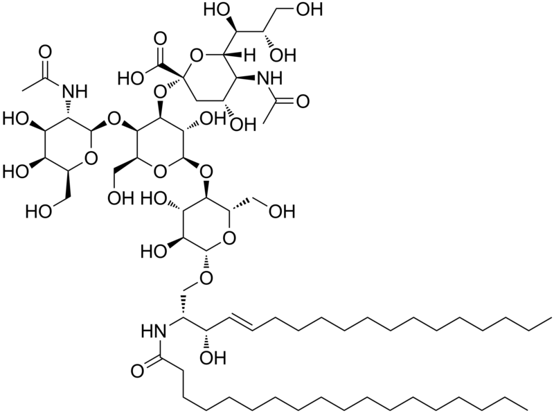 File:GM2 ganglioside.png