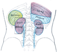 Thumbnail for version as of 17:28, 18 May 2026