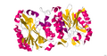 Thumbnail for version as of 02:14, 7 June 2026