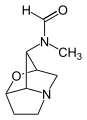 N-formylloline