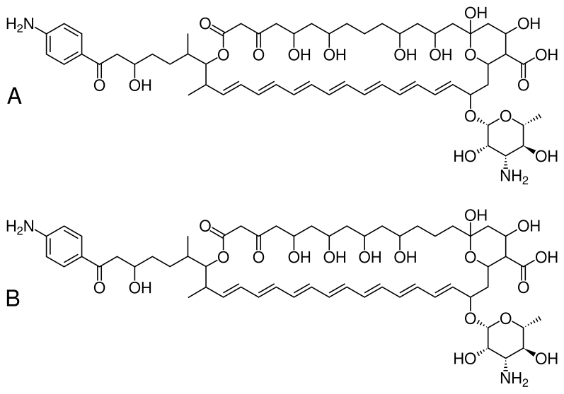 File:Hachimycin.svg