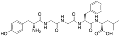 Leu-enkephalin Structure