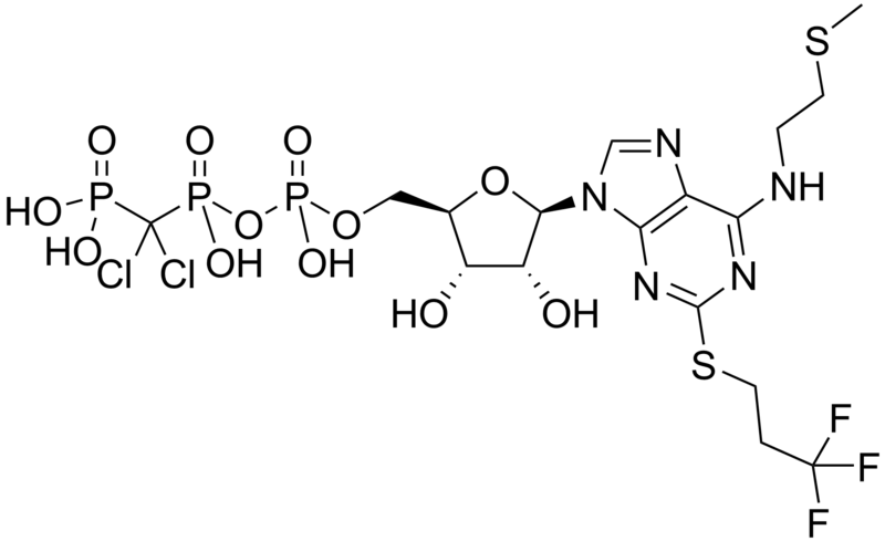 File:Cangrelor.png