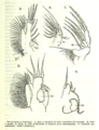 Thumbnail for version as of 13:40, 8 June 2026