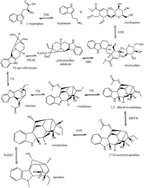 File:Ajaline1.jpg