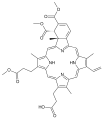 Thumbnail for version as of 21:06, 21 May 2026
