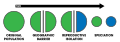 Allopatric Speciation Schematic