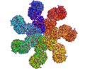 Apoptosome surface rendering