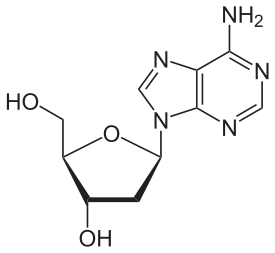 File:Desoxyadenosin.svg