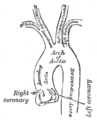 Thumbnail for version as of 17:28, 18 May 2026