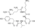 Thumbnail for version as of 19:03, 22 May 2026