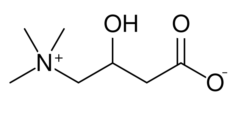 File:Carnitine.svg