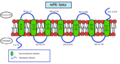 Thumbnail for version as of 22:36, 8 June 2026