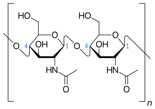 File:Haworth projection of chitin.svg
