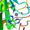 Carbonic anhydrase active site