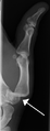 Thumbnail for version as of 03:19, 5 June 2026