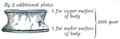 FIG. 103– (Picture From the Classic Gray's Anatomy)