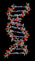 Thumbnail for version as of 02:05, 7 June 2026