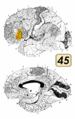 Thumbnail for version as of 19:20, 4 June 2026