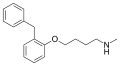 Thumbnail for version as of 16:51, 19 May 2026