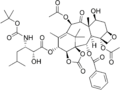 Thumbnail for version as of 12:16, 21 May 2026