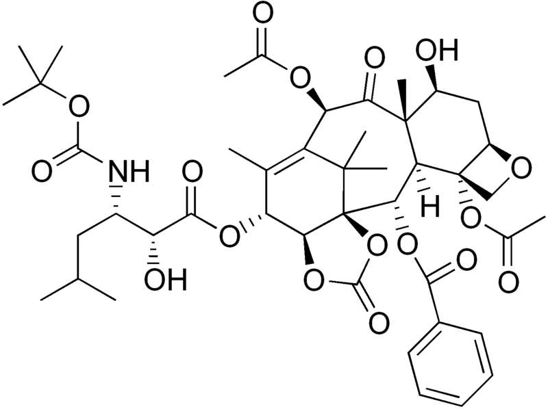 File:Ortataxel.png