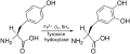 Thumbnail for version as of 22:37, 8 June 2026