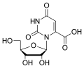Thumbnail for version as of 12:33, 19 May 2026