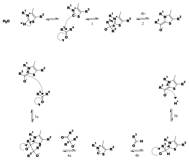 File:TPP Mechanism.svg