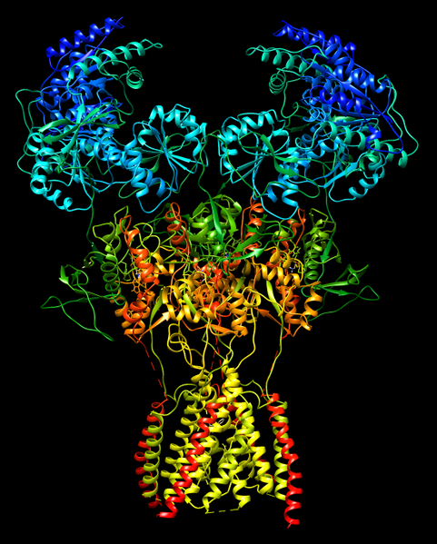 File:7eu7 NMDA-Rezeptor Regenbogen.png