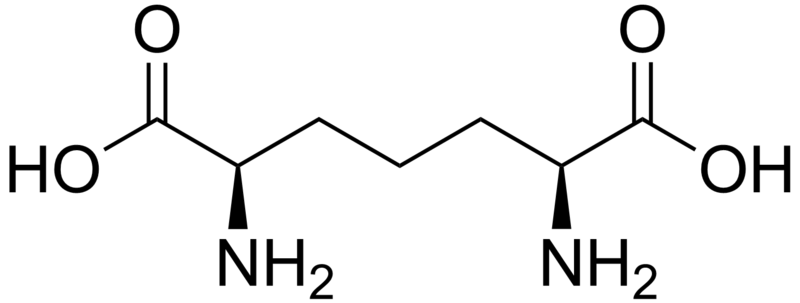 File:Diaminopimelic acid.png