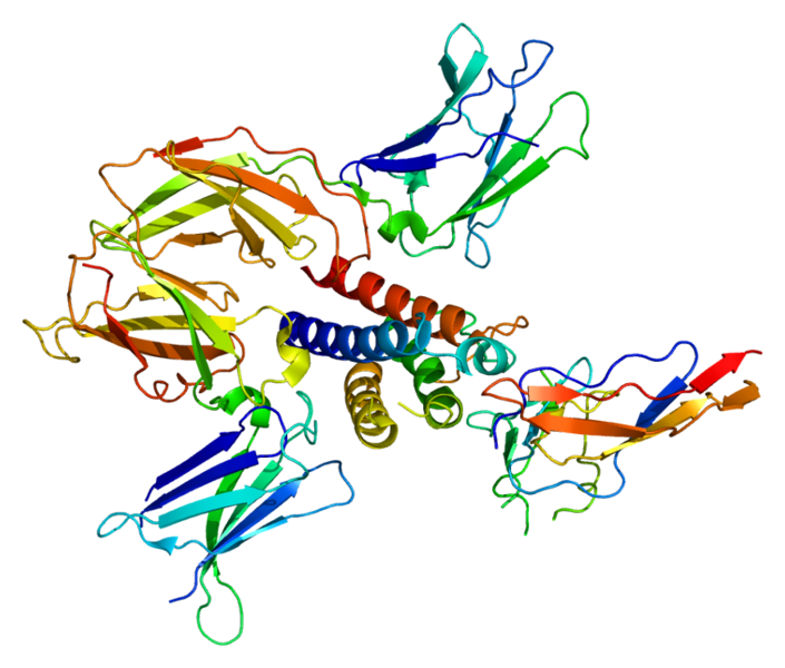 File:Protein IL2RG PDB 2b5i.png