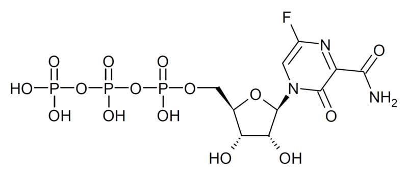 File:Favipiravir-RTP structure.png