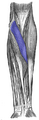 Thumbnail for version as of 13:40, 23 May 2026