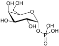 Alpha-D-Galactose-1-phosphate