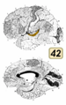 Thumbnail for version as of 19:18, 4 June 2026