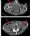 Thumbnail for version as of 02:10, 7 June 2026